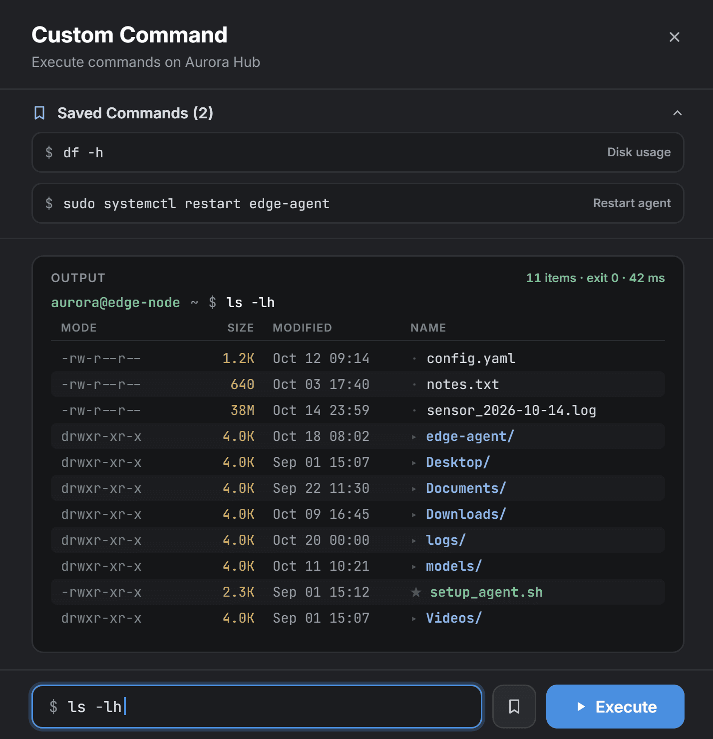 Custom Command sheet with two saved commands, ls -lh output and the command input