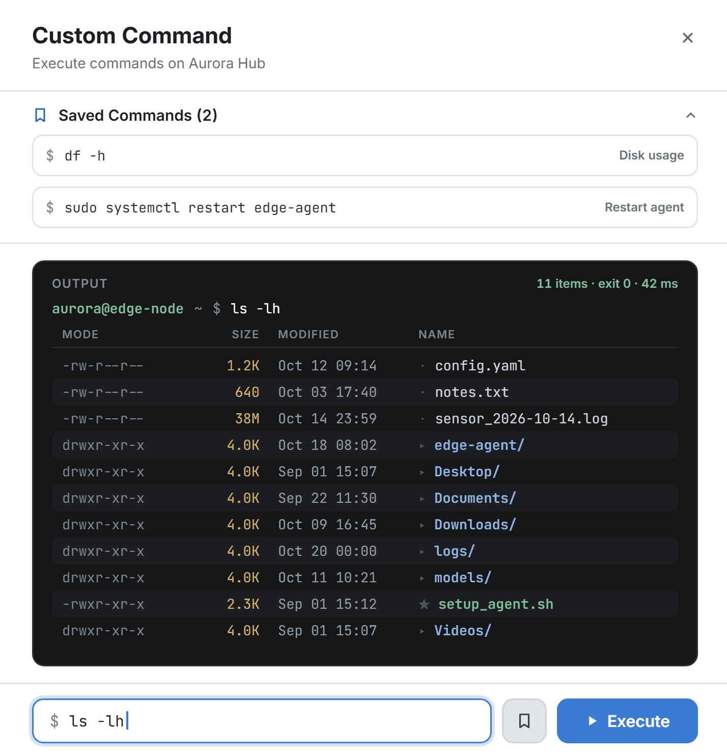 Custom Command sheet with two saved commands, ls -lh output and the command input